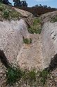 Carthage - La Malga 100_6433